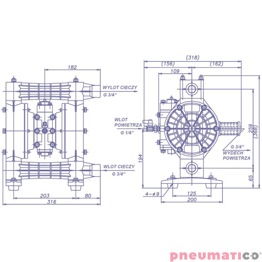 Pompa membranowa YAMADA (NDP20BPSPP) NDP-P20BPS 3/4"