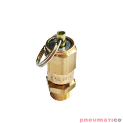 Zaw&oacute;r bezpieczeństwa 6 bar 1/4 